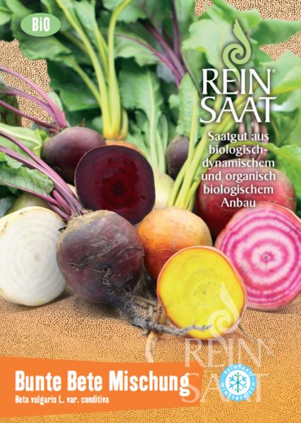 Bunte Bete